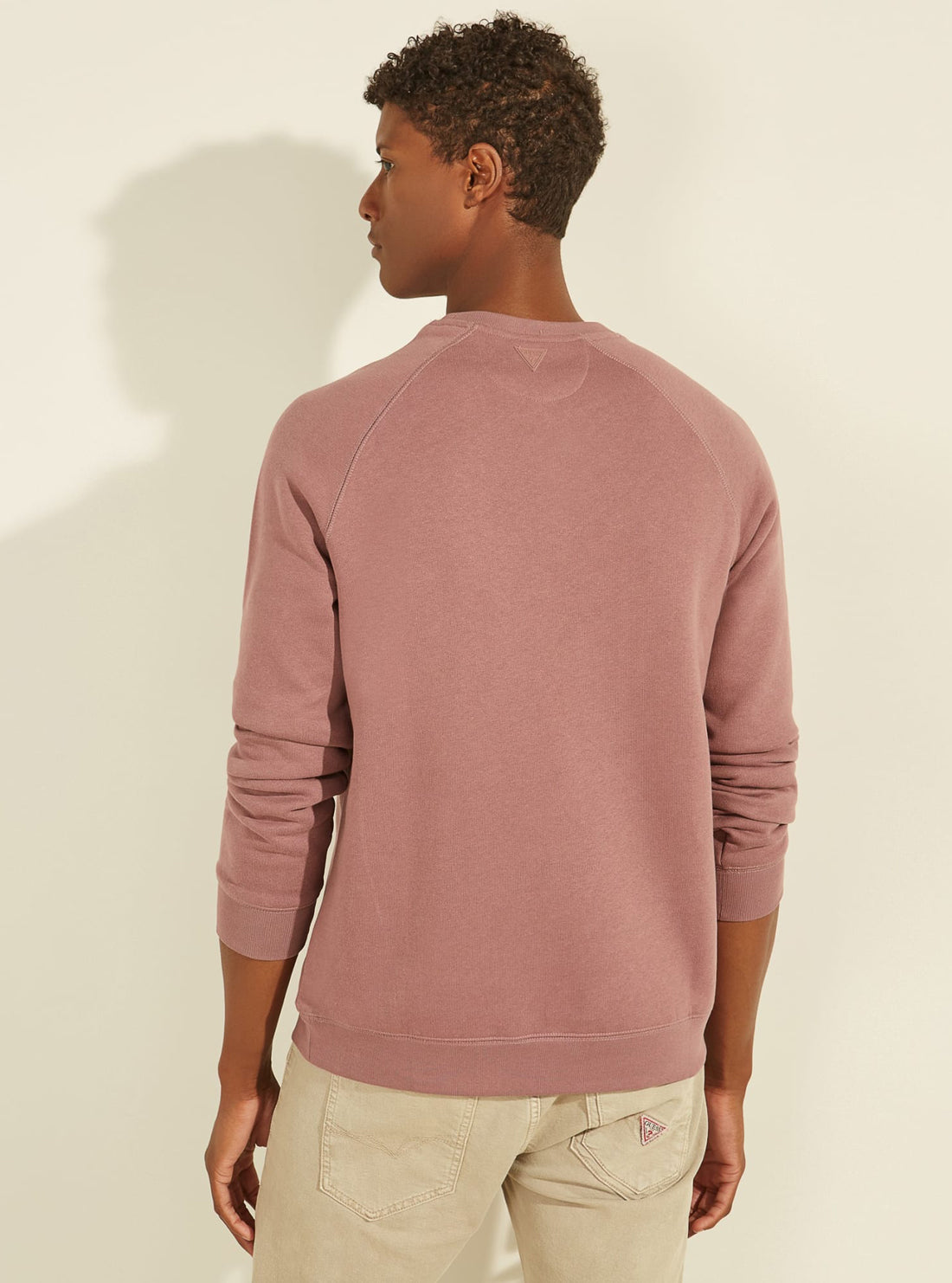 GUESS Mens Eco Hazy Pink Aldwin Active Jumper U1YA02K9V31 Back View