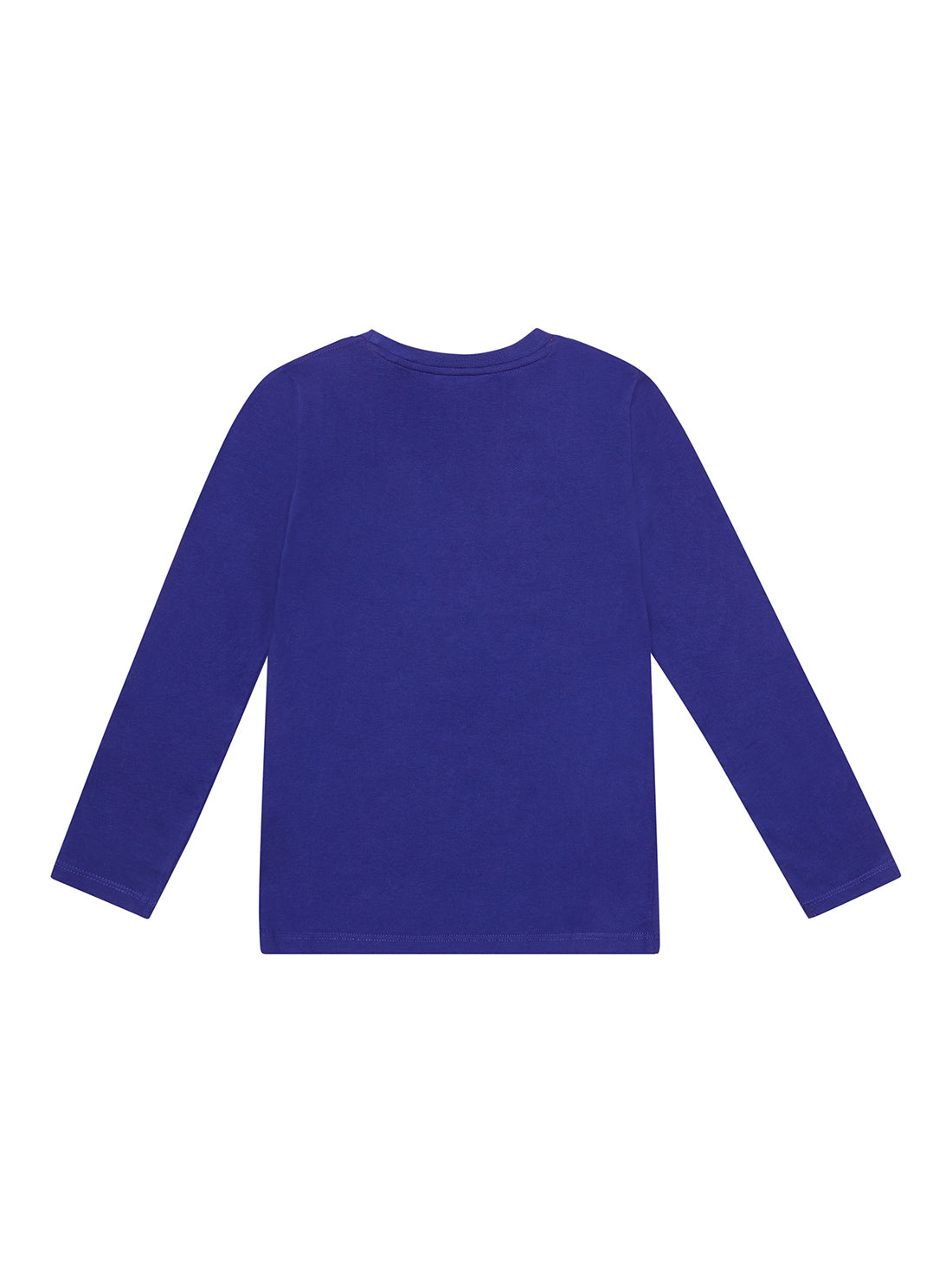GUESS Little Boys Blue Logo T-Shirt (2-7) N2RI09K8HM0 Back View