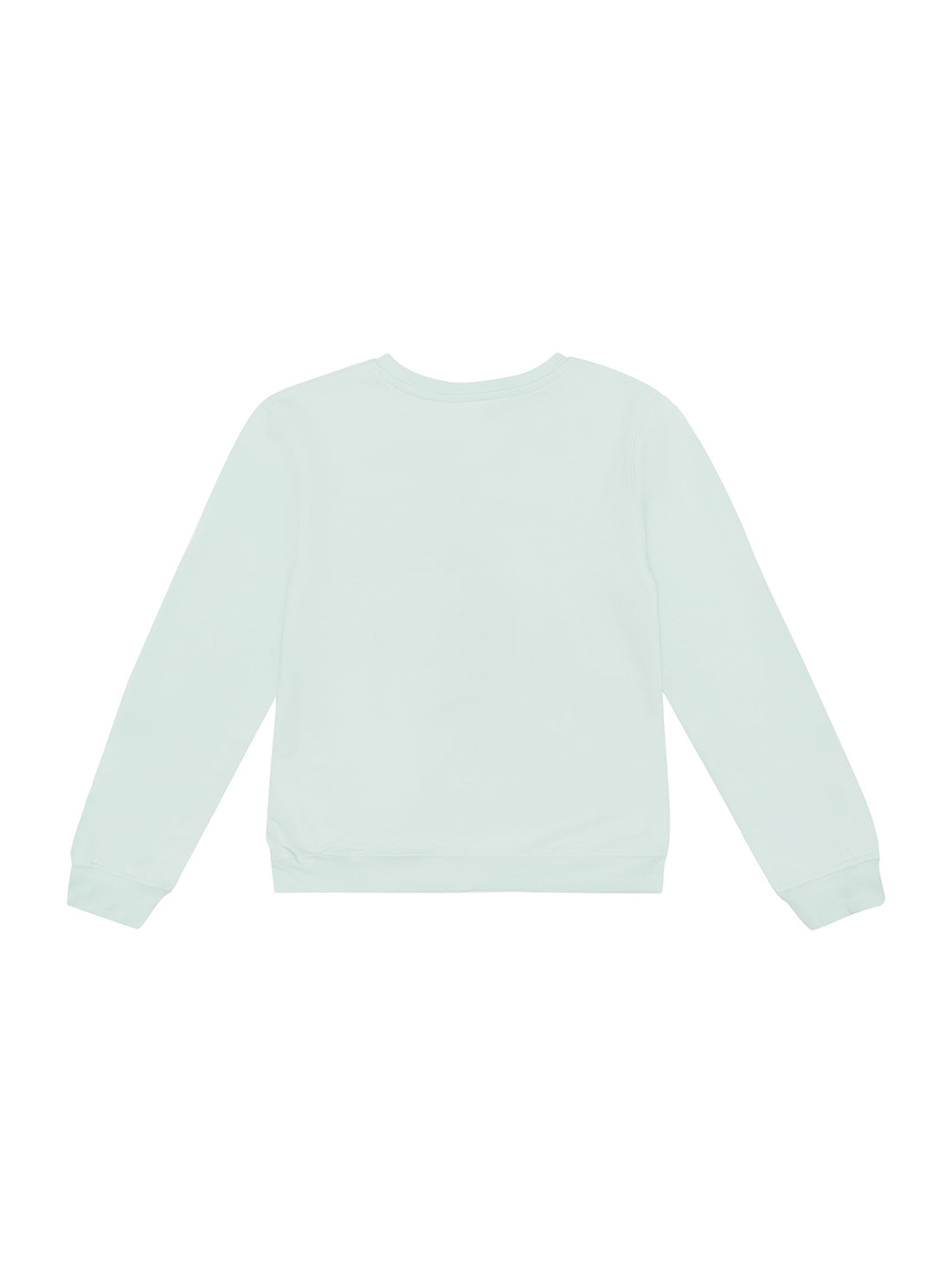 GUESS Kids Little Girl Aloe Palm Petal Logo Active Jumper (2-7) K2GQ05KB3N0 Back View