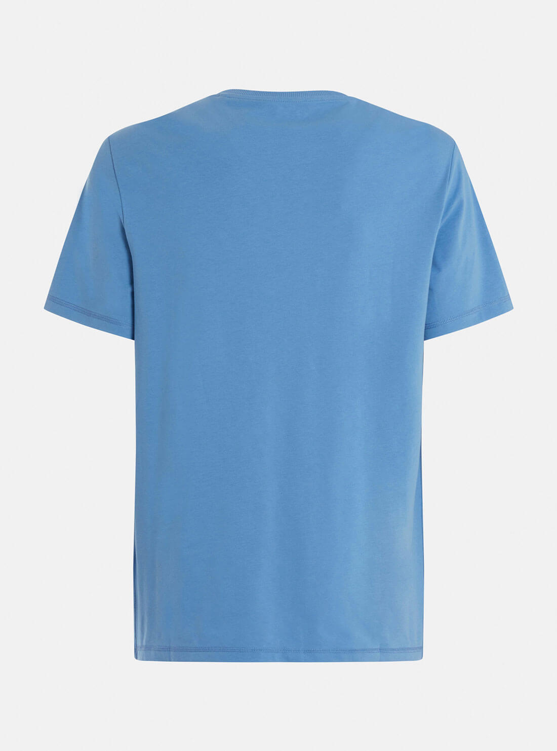 GUESS Mens Eco Blue Bacopa Rusty Logo T-Shirt M2GI08J1311 Ghost Back View