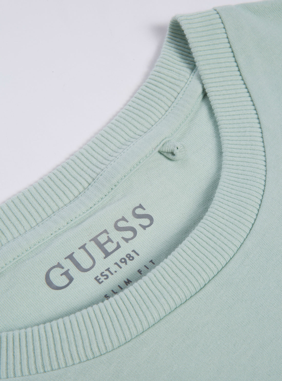 GUESS Mens Eco Soft Mint Painty Logo T-Shirt M2RI21K8FQ1 Logo View