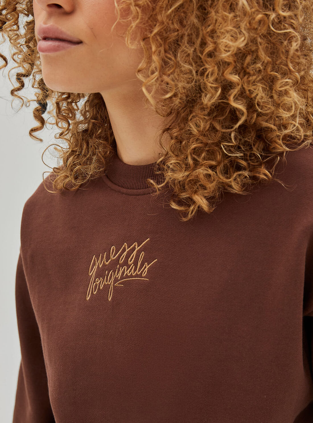 GUESS Womens Guess Originals Brown Alanis Pullover Jumper W1RQ01K9YH5 Detail View