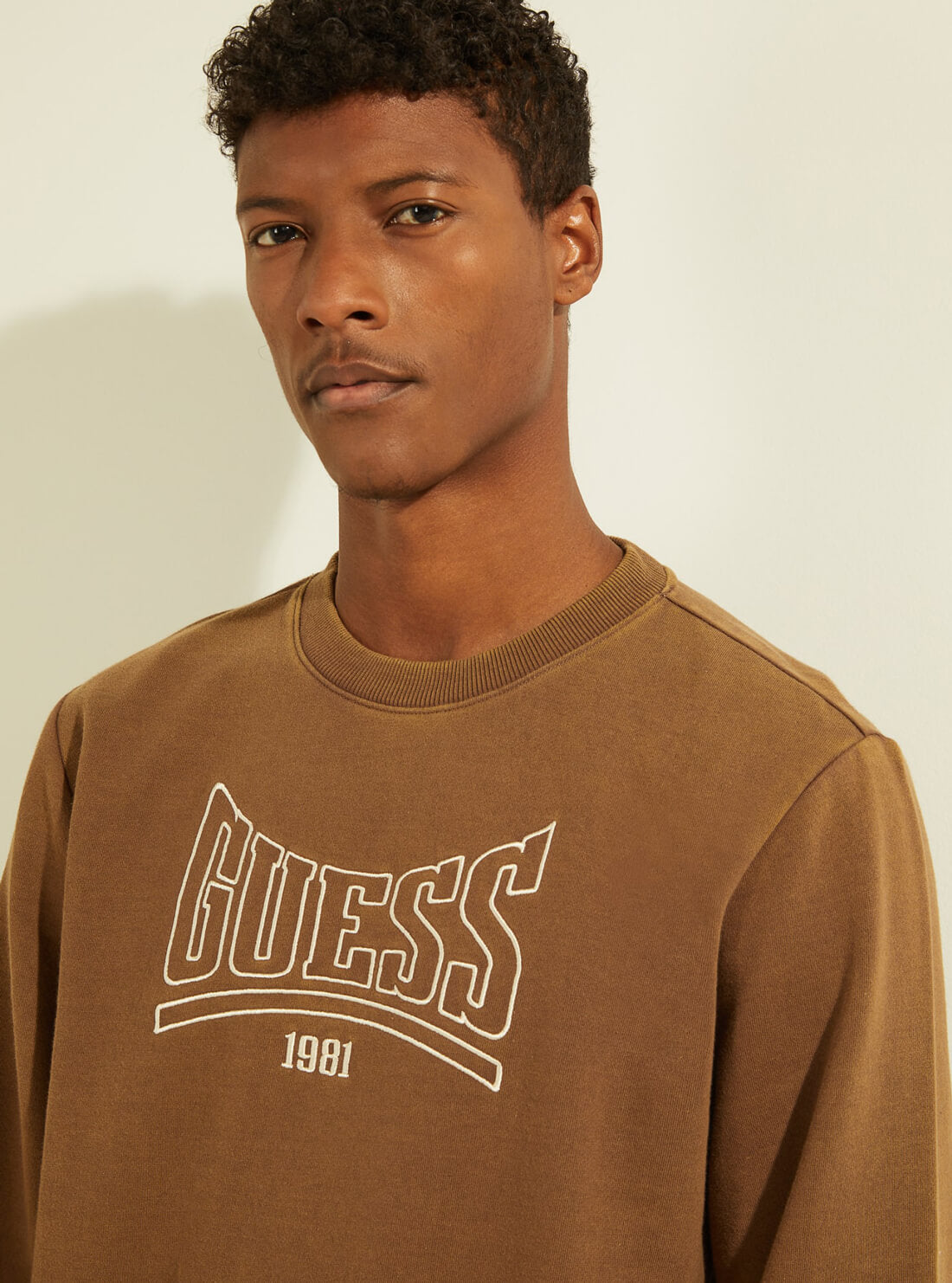 GUESS Mens Eco Brown Roy Retro Jumper M1GQ08R9YH1 Detail View