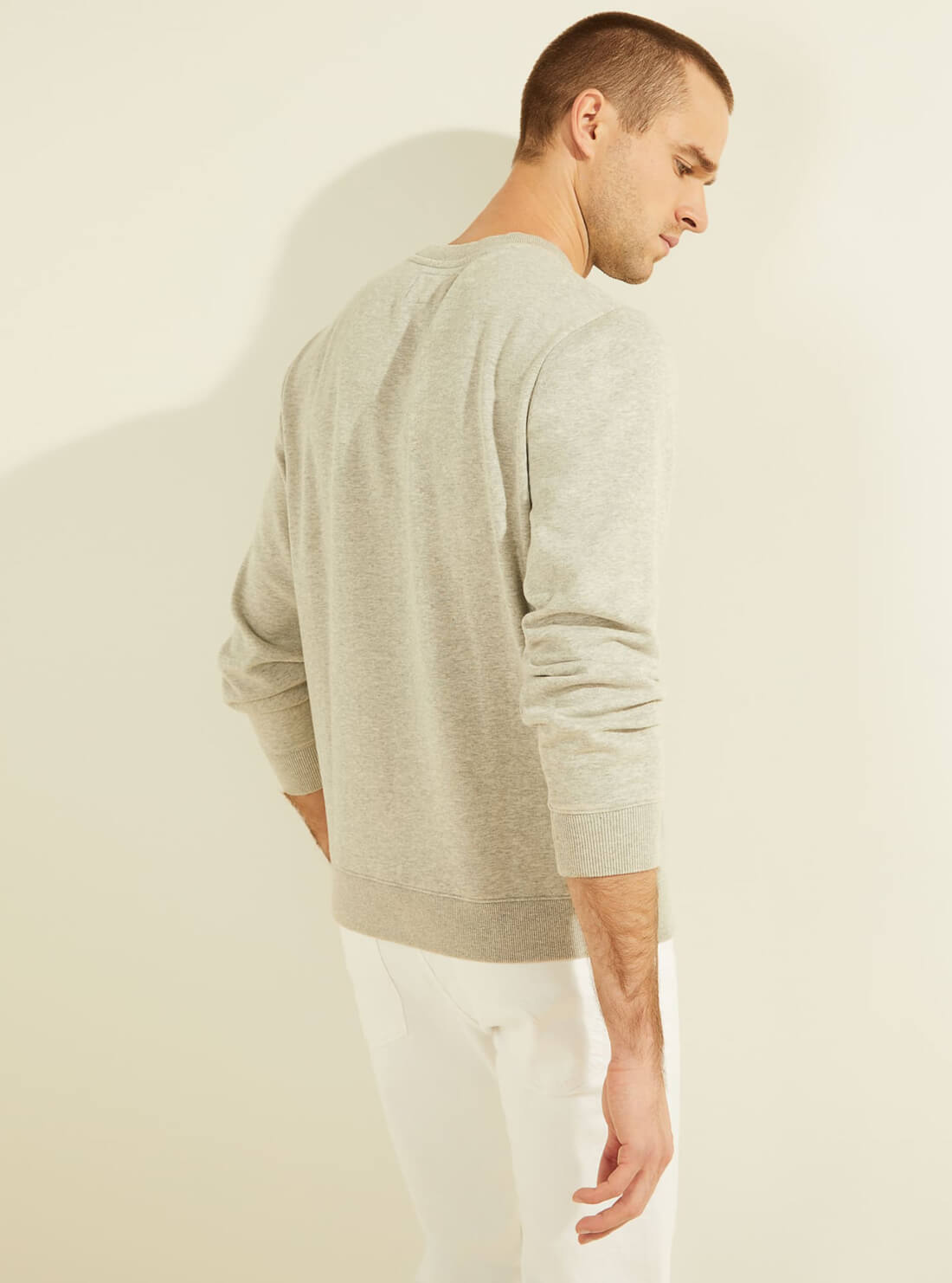 GUESS Mens Eco Grey Roy Retro Jumper M1GQ08R9YH1 Back View