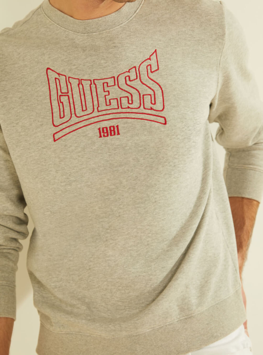 GUESS Mens Eco Grey Roy Retro Jumper M1GQ08R9YH1 Detail View