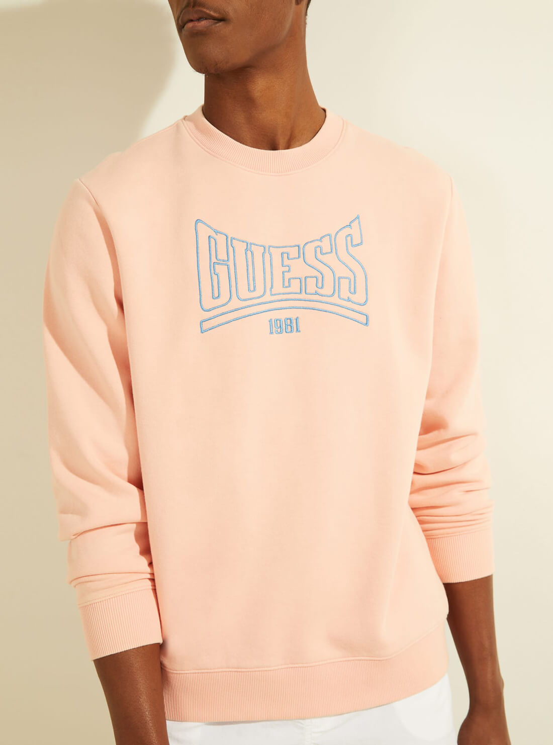 GUESS Mens Eco Coral Pink Roy Retro Jumper M1GQ08R9YH1 Detail View