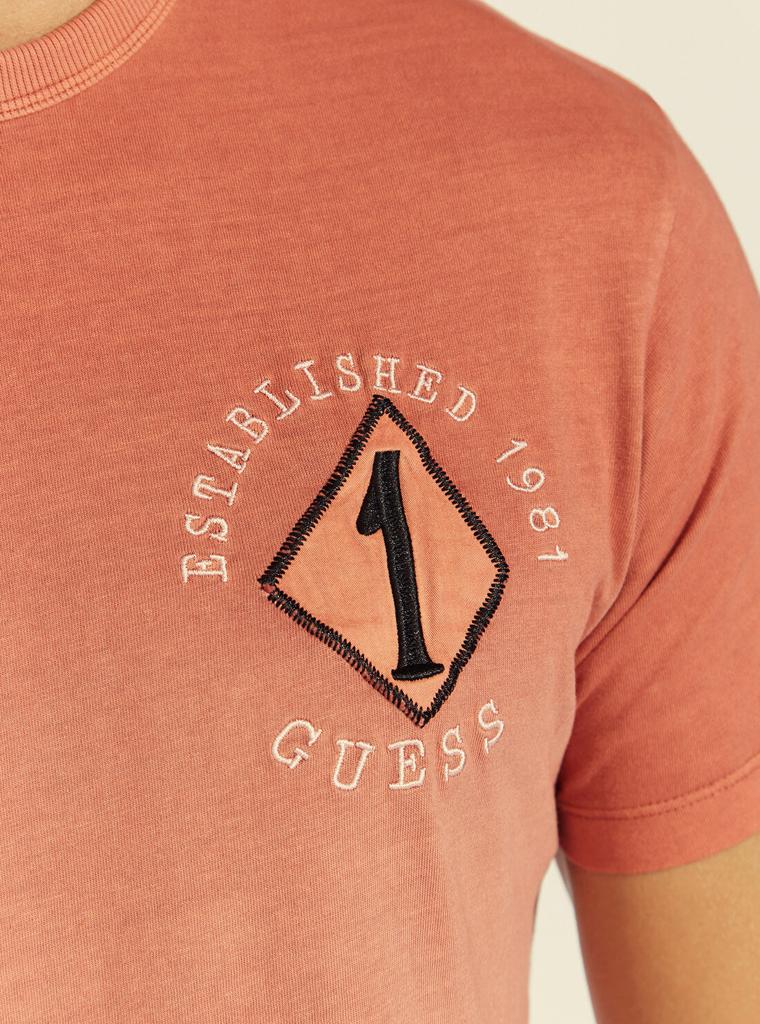 GUESS Mens Desert Red River Trees T-Shirt M1BI16K8FQ1 Front Detail View